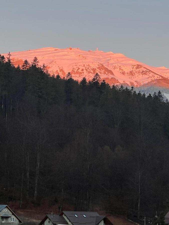 锡纳亚Riky Apart Mountain View公寓 外观 照片