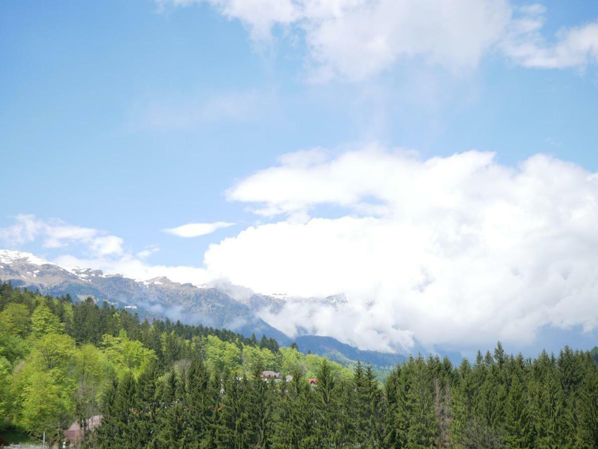 锡纳亚Riky Apart Mountain View公寓 外观 照片